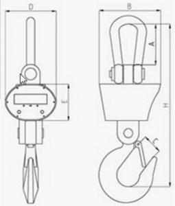 SENS OCS SZ Heavy Duty Crane Scale dimensions